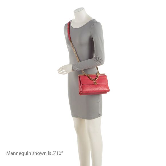 Chanel Lambskin Coco Lux Small Flap Bag - Picture 5 of 16